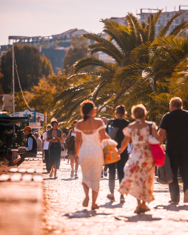 newest-news-post-image